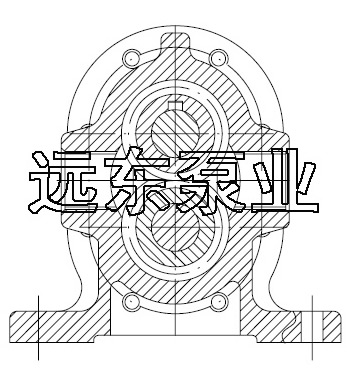 2CY4.2齒輪泵